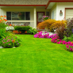 Gardening, Landscaping and Lawn Care